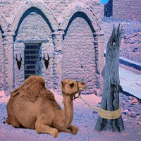 Free online html5 games - Escape Desert Camel FirstEscapeGames game 