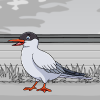 Free online html5 games - G2J Rescue The Arctic Tern game 