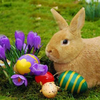 Free online html5 games - Easter Blue Egg Bunny Escape HTML5 game 