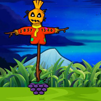Free online html5 games - G2J Pretty Macaw Escape game 
