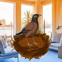 Free online html5 games - Find My Nest HTML5 game 
