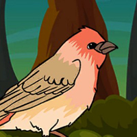 Free online html5 games - G2J House Finch Escape game 