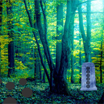 Free online html5 games - Forest Well Escape game 