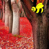 Free online html5 games - Autumn Fall Forest Escape game 