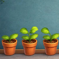 Free online html5 escape games - Find Garden Buddy Nico