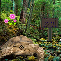 Free online html5 games - Big Wood Land Escape game - WowEscape 