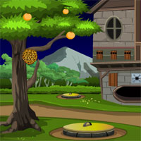 Free online html5 games - Games4Escape Upside Down House Escape  game 