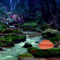 Free online html5 games - Games2rule National Enchanted Forest Escape game 