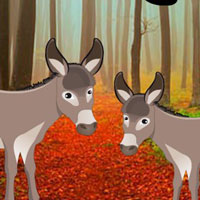 Free online html5 games - Donkey Pair Escape HTML5 game 