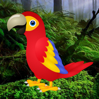 Free online html5 games - Macaw Green Forest Escape game 