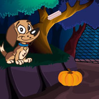 Free online html5 games - 8b Rescue the grizzly bear game 