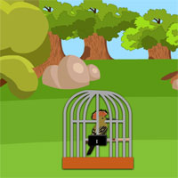 Free online html5 games -  8b Woodpecker Escape game 
