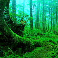 Free online html5 games - Rainy Deer Forest Escape game 