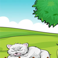 Free online html5 escape games - Wise Cat Rescue