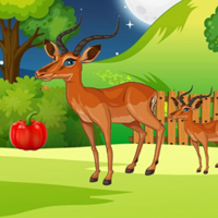 Free online html5 escape games - G2M Midnight Wings