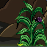 Free online html5 games - Little Donkey Escape game 