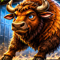 Free online html5 escape games - Wild Buffalo Rescue