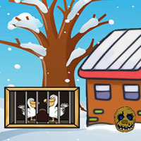 Free online html5 games - Rescue The White Pelican game 