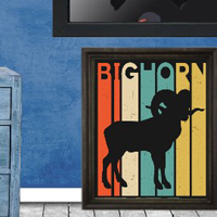 Free online html5 games - 8b Resplendent Boy Escape game 