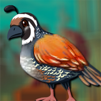Free online html5 games - Avm Myna Bird Escape game 