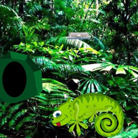 Free online html5 games - Chameleon Rain Forest Escape HTML5 game - WowEscape 